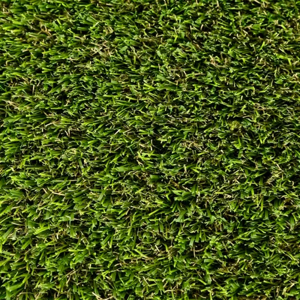 Vibrant Verde - Image 3