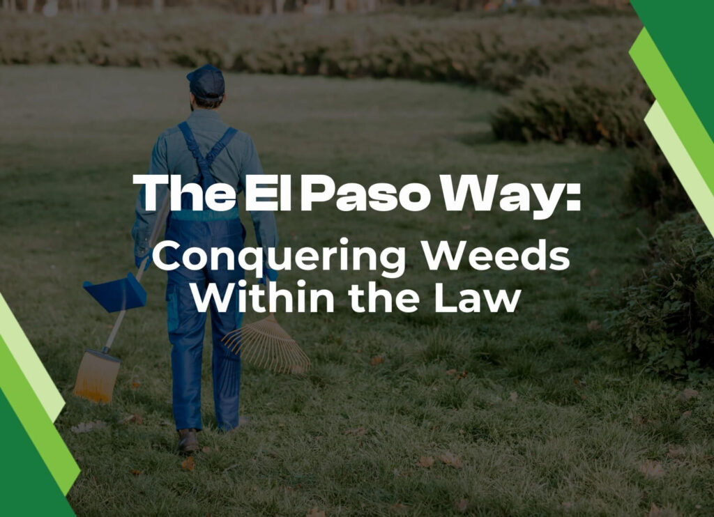 common weeds el paso