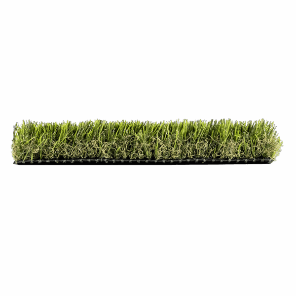 Forest Green - Image 2