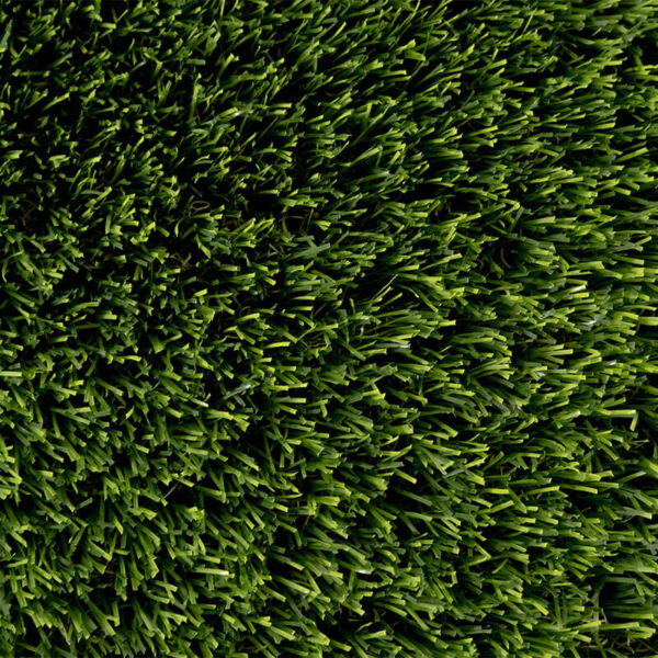Forest Green - Image 3